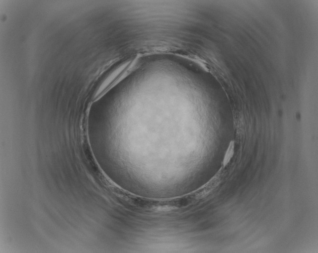 X0000068320360200605192039