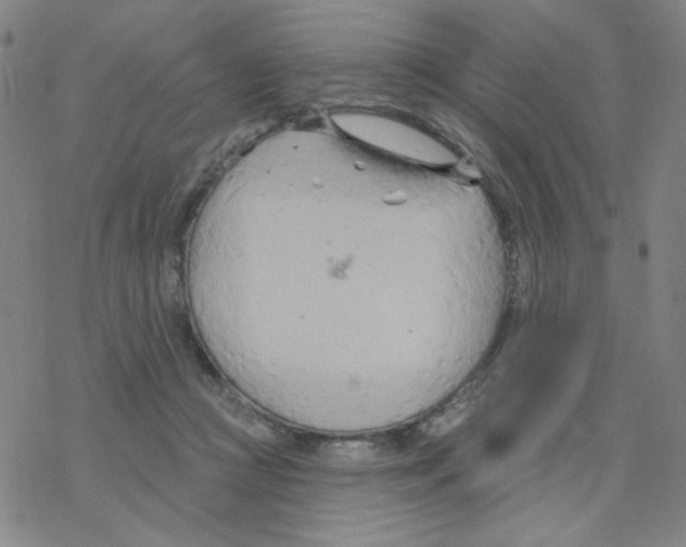 X0000068320361200605192039