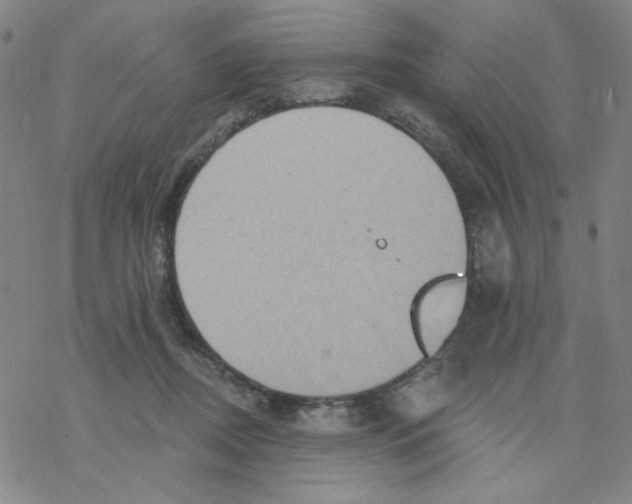 X0000068320362200605192039