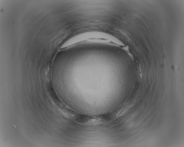 X0000068320364200605192039