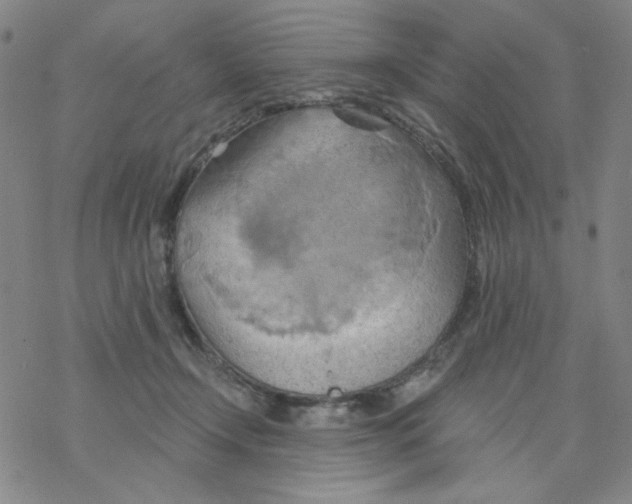 X0000068320366200605192039