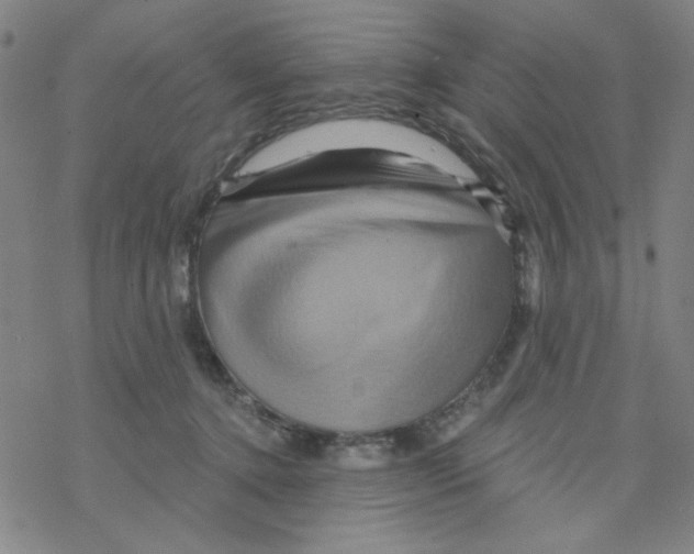 X0000068320368200605192039