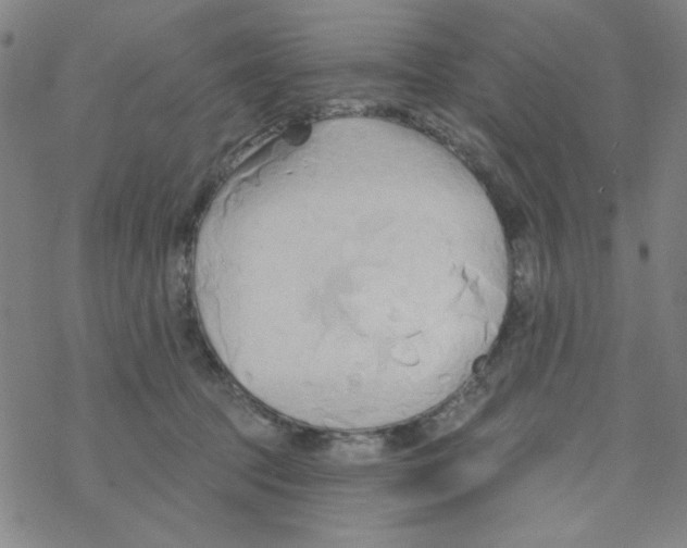 X0000068320369200605192039