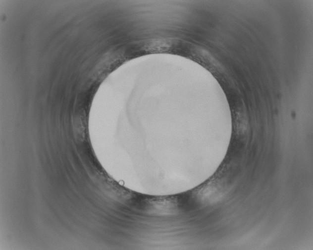 X0000068320370200605192039