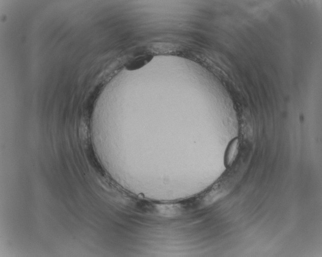 X0000068320371200605192039