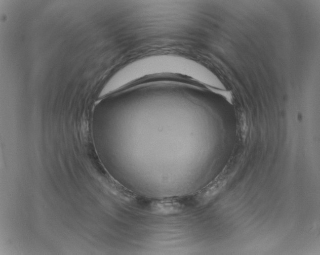 X0000068320372200605192039