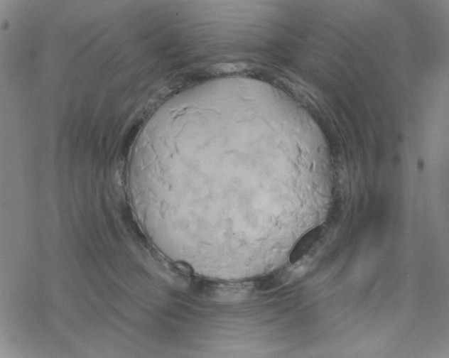 X0000068320373200605192039