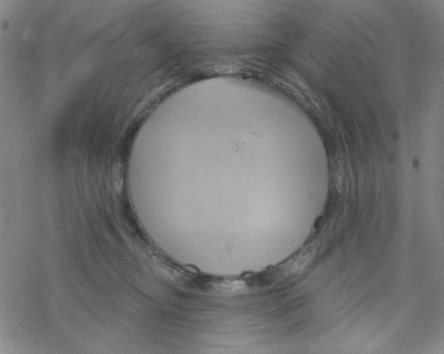 X0000068320374200605192039