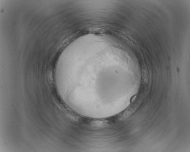 X0000068320375200605192039