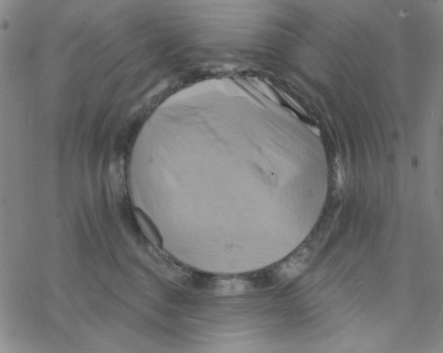 X0000068320376200605192039