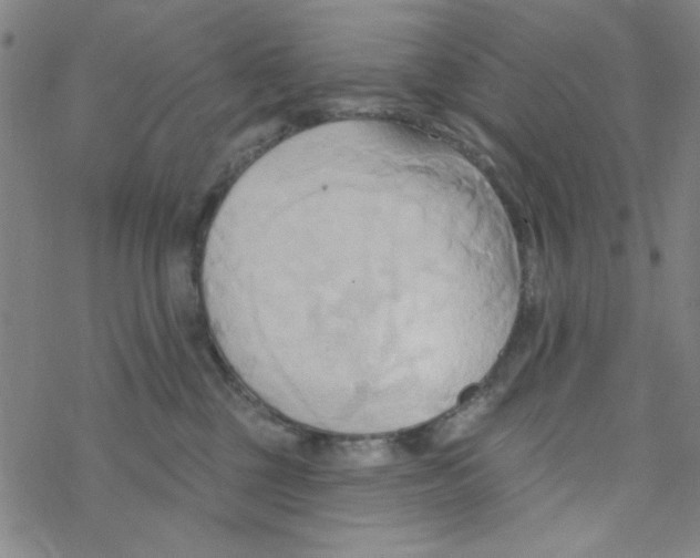 X0000068320377200605192039