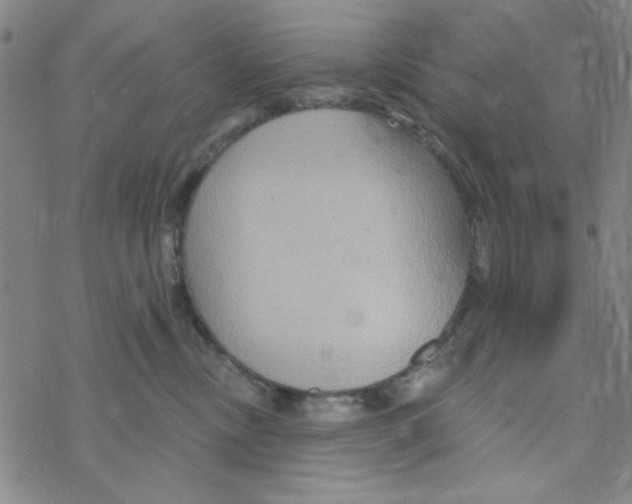 X0000068320378200605192039