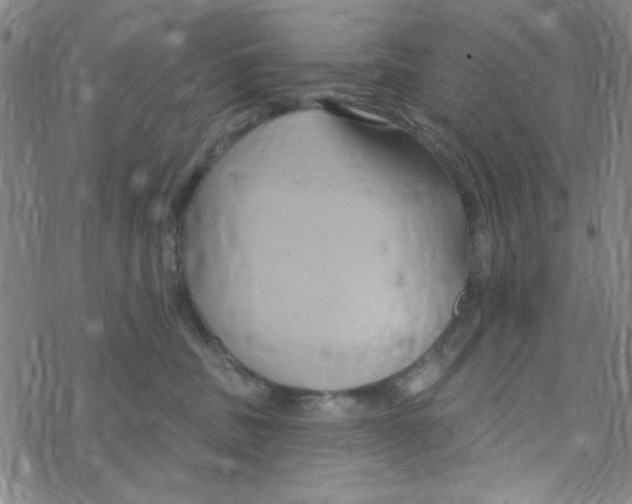 X0000068320379200605192039