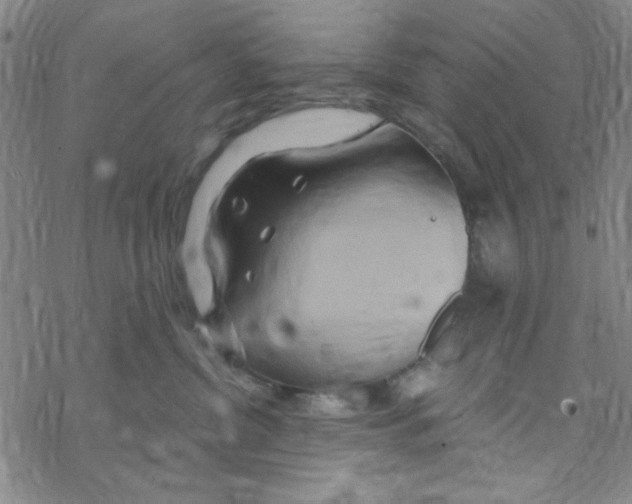 X0000068320380200605192039