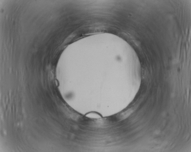 X0000068320382200605192039