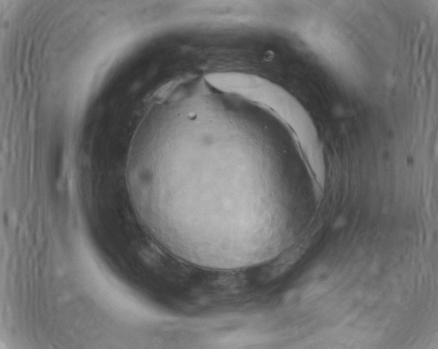 X0000068320383200605192039