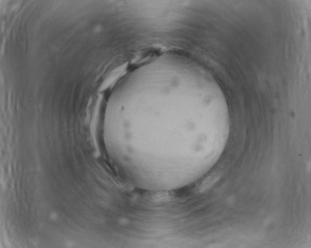 X0000068320384200605192039