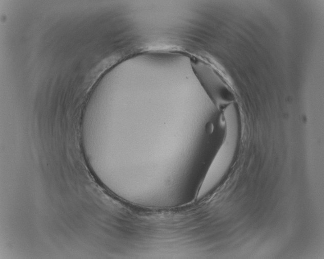 X0000068320385200605192038