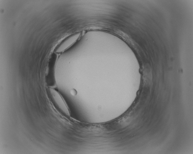 X0000068320386200605192038