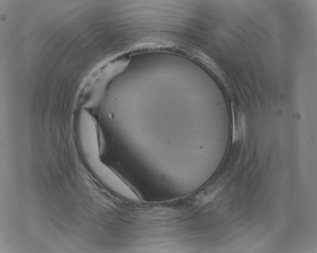 X0000068320387200605192038