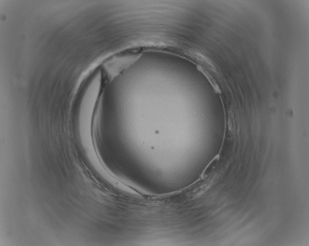 X0000068320388200605192038