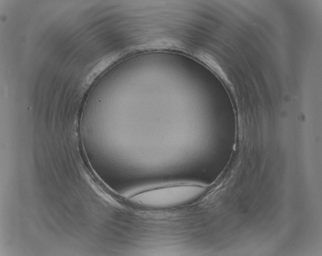 X0000068320389200605192038