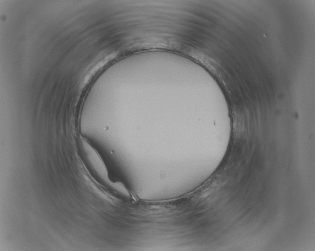 X0000068320390200605192038