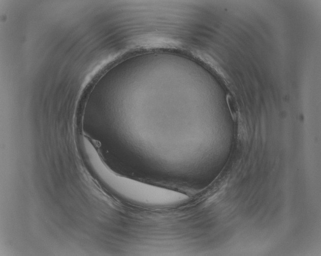 X0000068320391200605192038