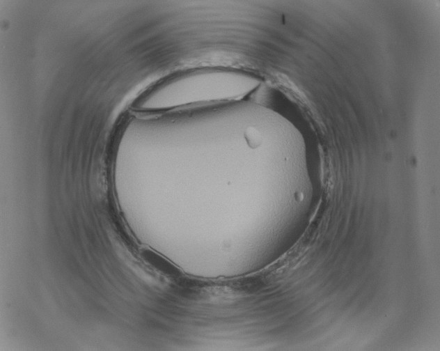 X0000068320392200605192038