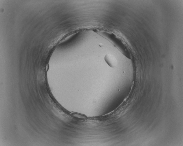 X0000068320393200605192038