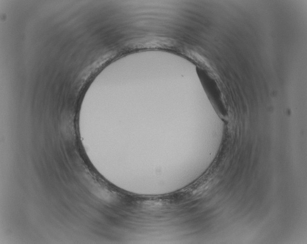 X0000068320394200605192038