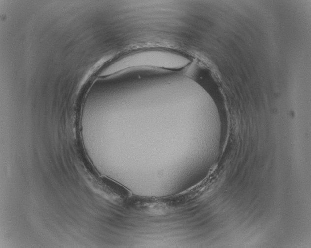 X0000068320395200605192038