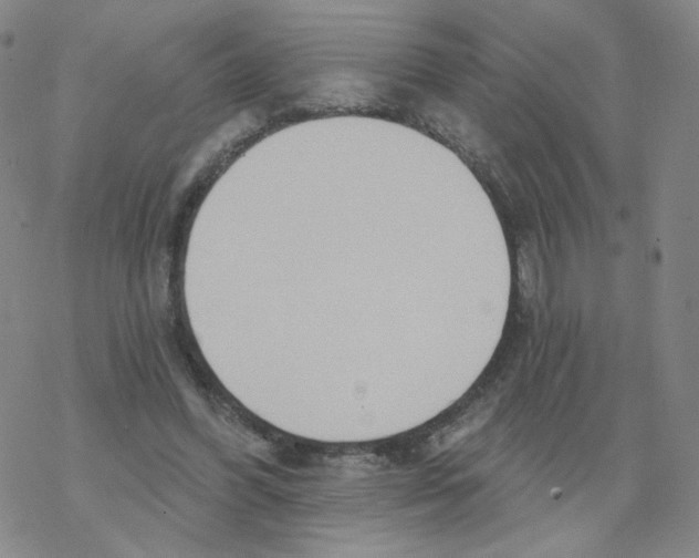 X0000068320396200605192038