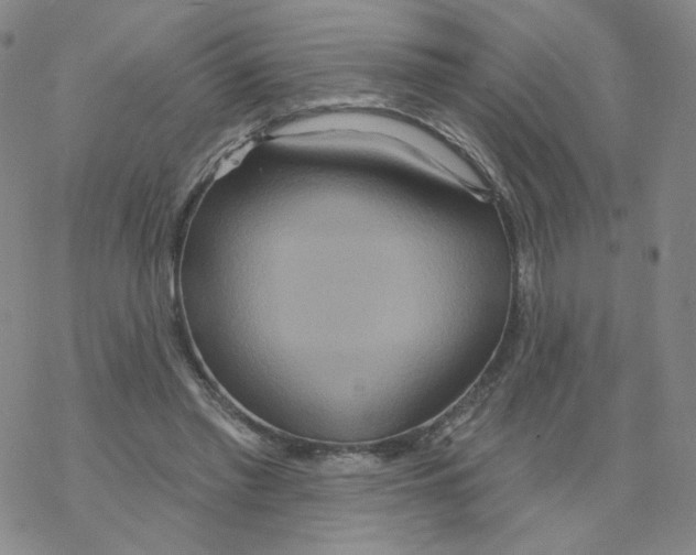 X0000068320397200605192038