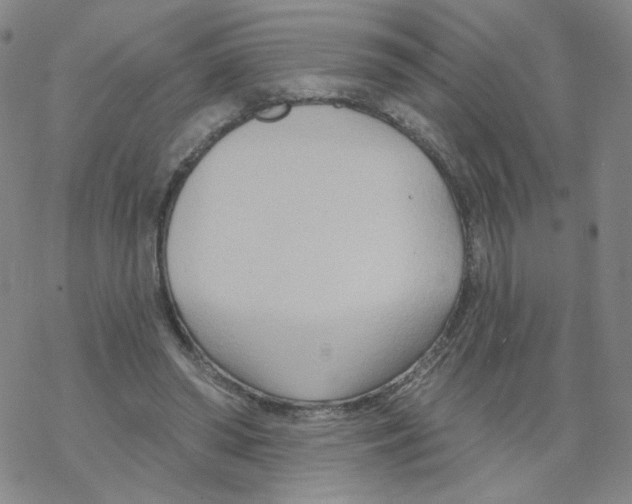 X0000068320398200605192038