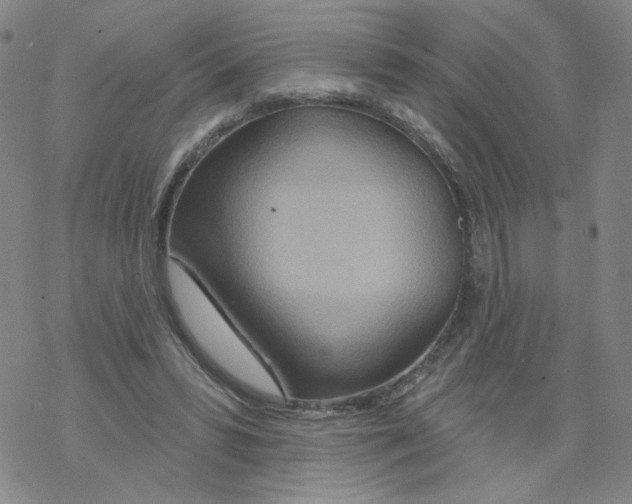 X0000068320399200605192038