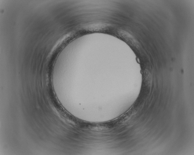 X0000068320400200605192038