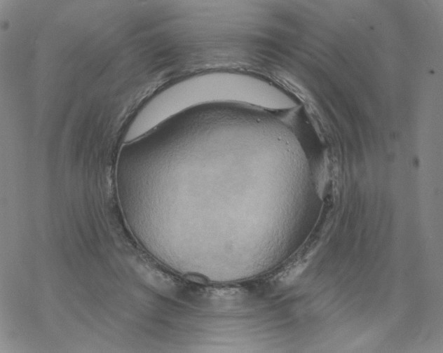 X0000068320401200605192038