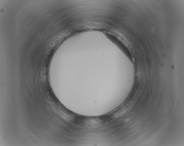 X0000068320402200605192038