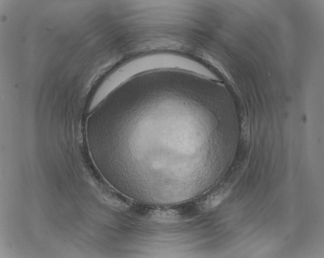 X0000068320403200605192038