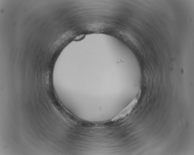 X0000068320404200605192038