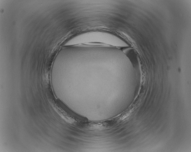 X0000068320405200605192038