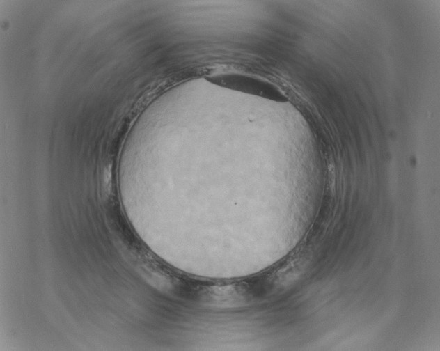 X0000068320406200605192038