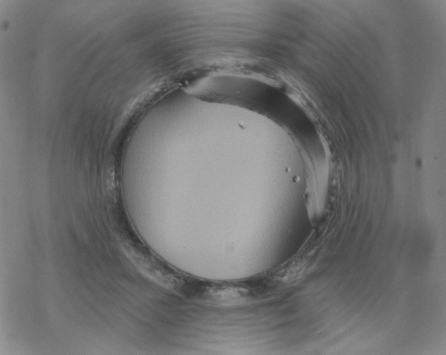 X0000068320407200605192038