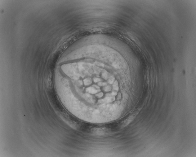 X0000068320408200605192038