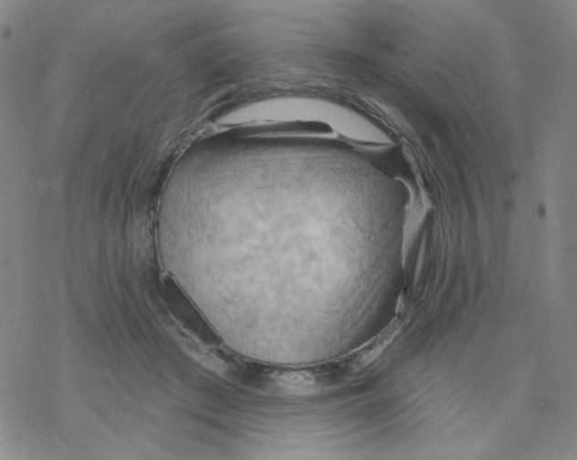 X0000068320409200605192038