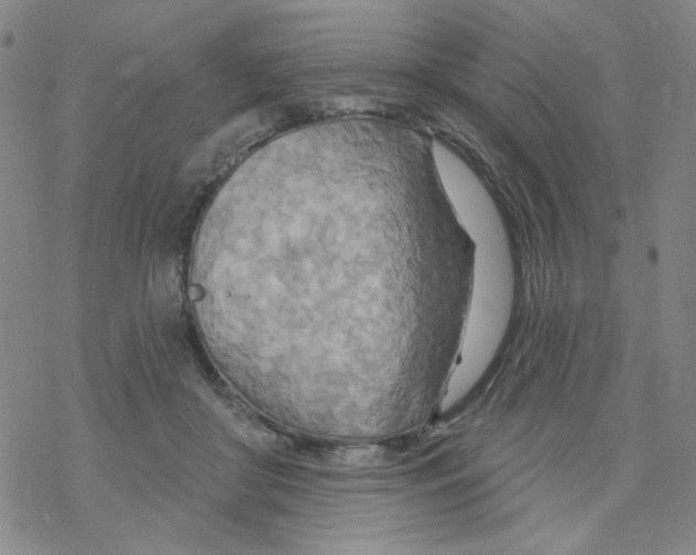 X0000068320410200605192038