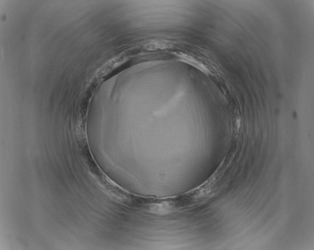 X0000068320411200605192038