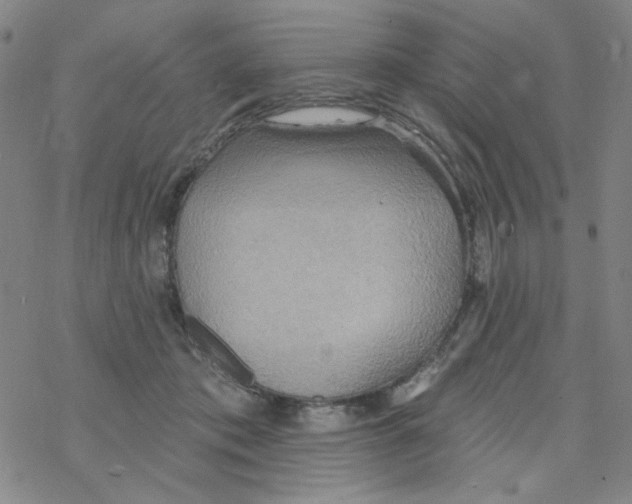 X0000068320413200605192038