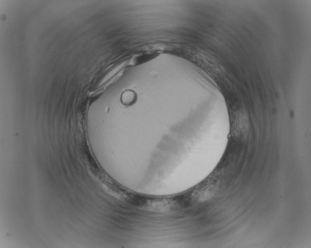 X0000068320414200605192038